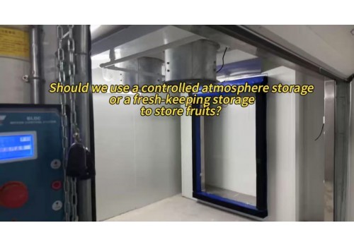Controlled atmosphere cold storage for fruit and vegetable preservation Video