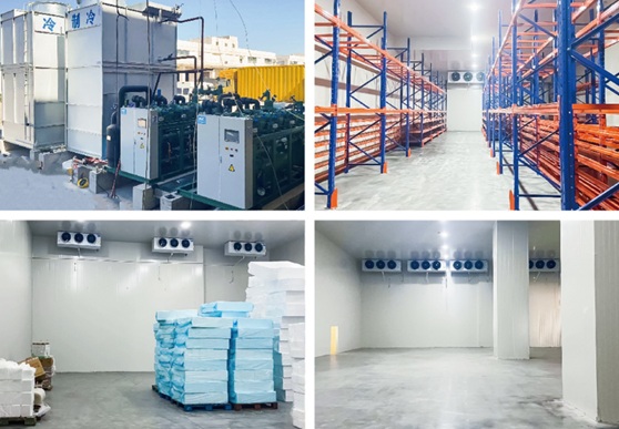 Logistics & Distribution Cold Storage Construction